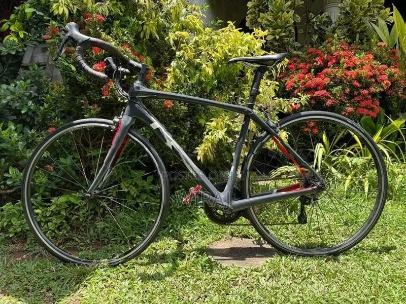 Trek Domane SL 5 Full Carbon