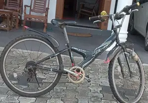 Japan Bicycle