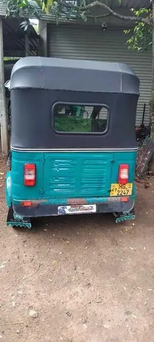 Bajaj H.G 2004