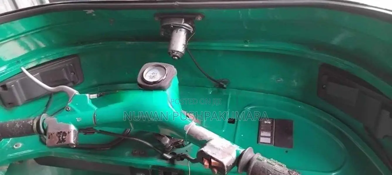 Bajaj H.G 2004