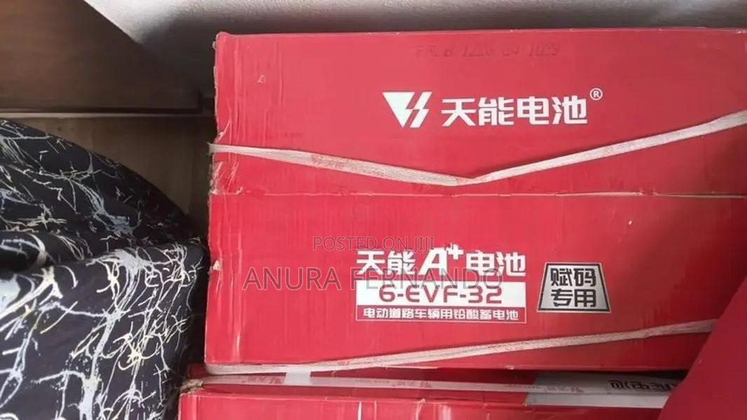 ELECTRIC MOTOR CYCLE BATTERY 6-EVF-32-LED ACID