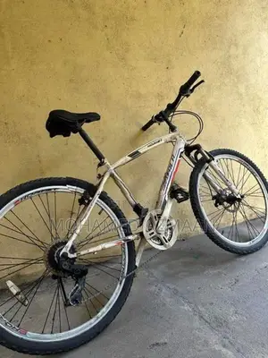 Lumala Bicycle