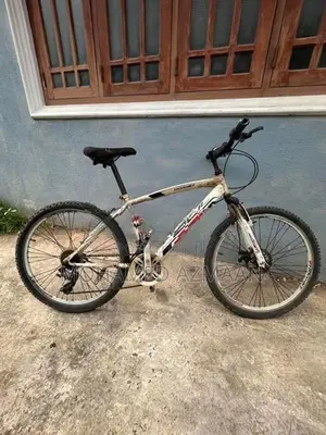 Lumala Bicycle