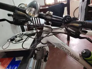DENIRO Japanese Racing Bike
