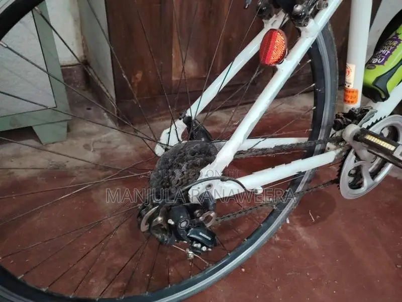 DENIRO Japanese Racing Bike
