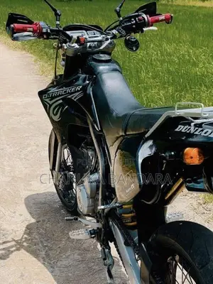 Kawasaki D Tracker 2010
