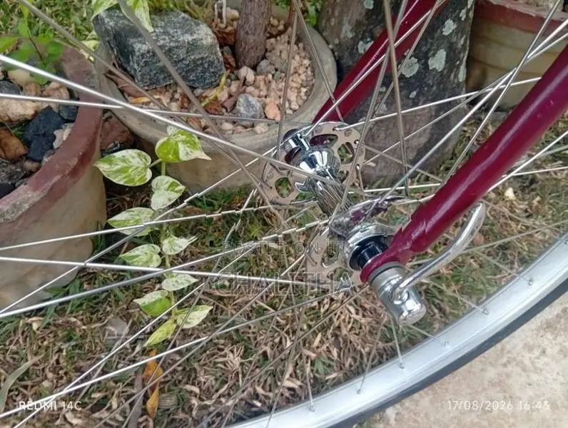 Bicycle