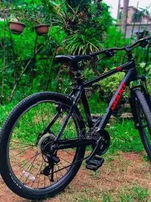 Giant Mtb Bicycle