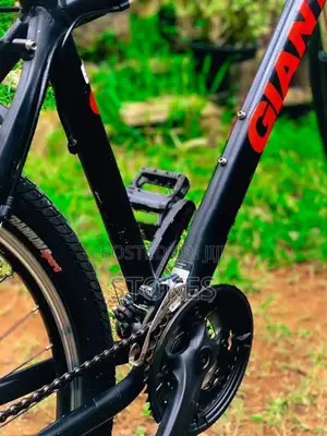 Giant Mtb Bicycle