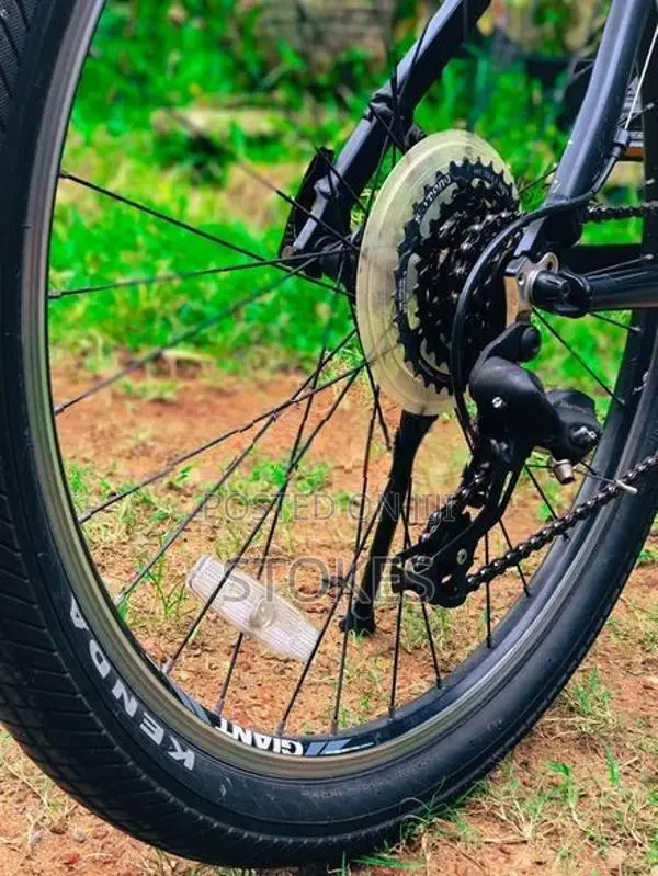 Giant Mtb Bicycle