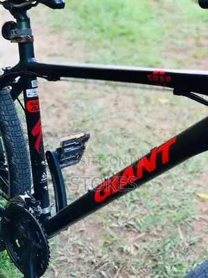Giant Mtb Bicycle