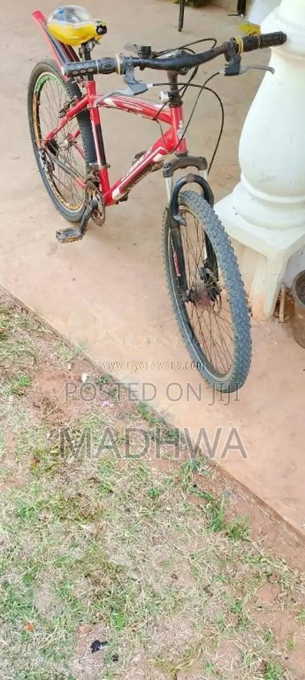 LumalaBicycle for All