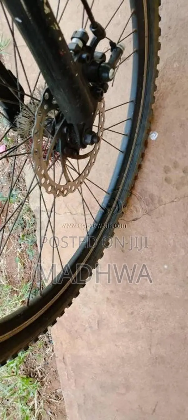 LumalaBicycle for All