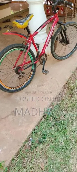 LumalaBicycle for All
