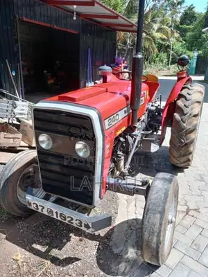 Massey-Ferguson 240 1981 Tractor (Used)