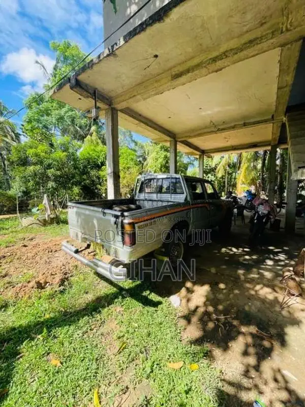 Nissan Datsun 1980 Pickup (Used)