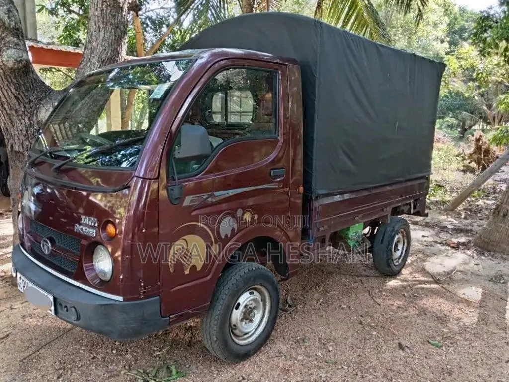 Tata Dimo Batta Ace EX 2013 Lorry (Used)