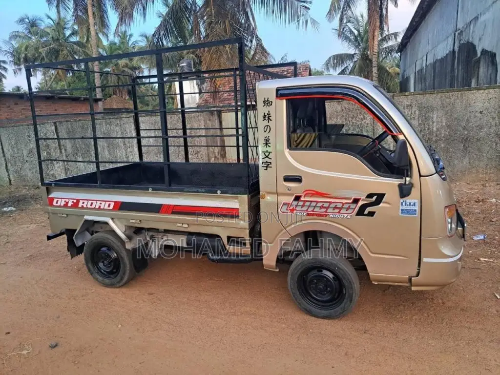 Tata Dimo Batta 2017 Lorry (Used)