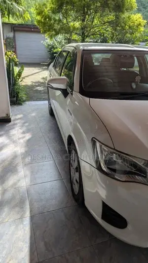Toyota Axio 2013 Car (Used)