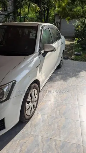 Toyota Axio 2013 Car (Used)