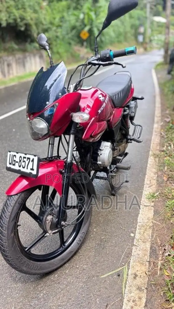 Bajaj XCD 2008 Motorbike (Used)