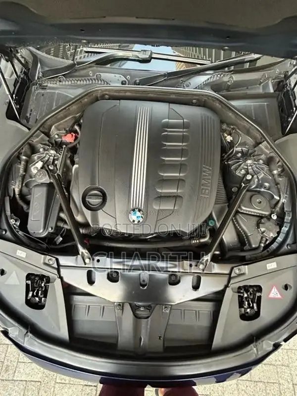 BMW 730D 2011 Car (Used)