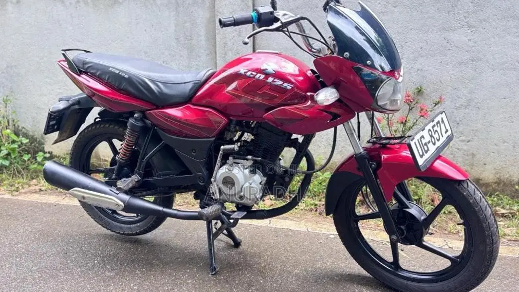 Bajaj XCD 2008 Motorbike (Used)