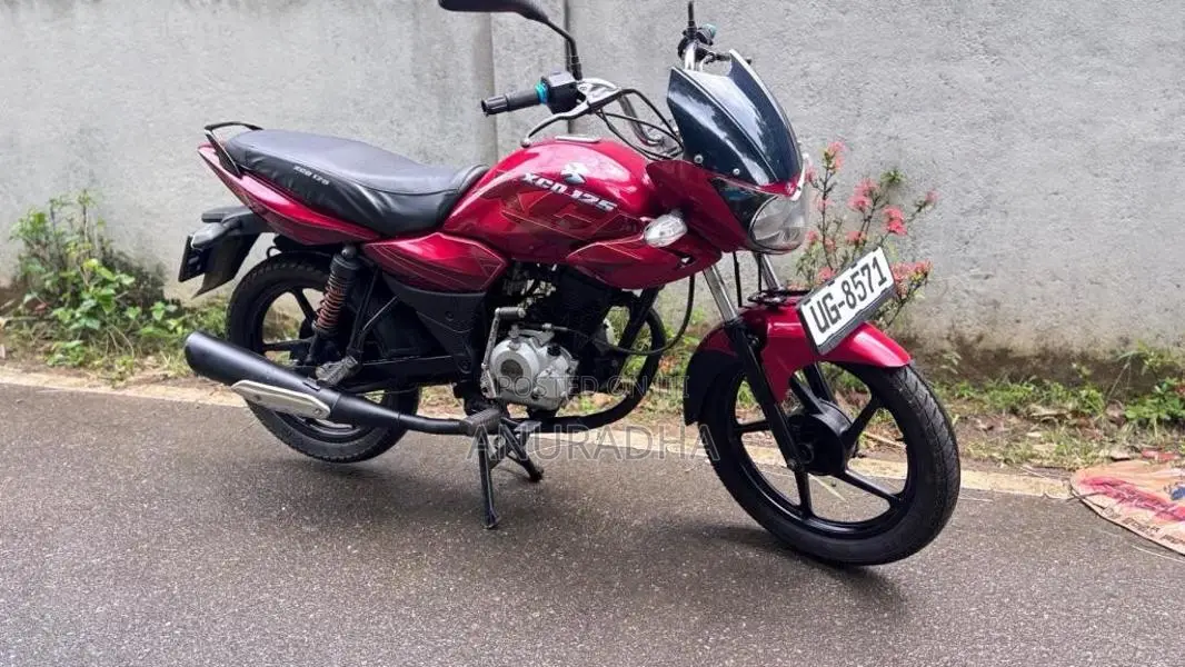 Bajaj XCD 2008 Motorbike (Used)