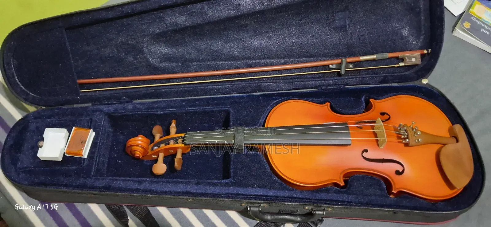Skyland Lark Violin