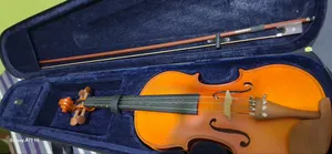 Skyland Lark Violin