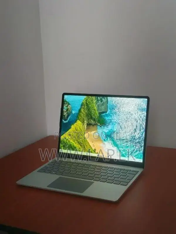 Microsoft Surface Go 1943 Core i5 1035G1 10th GEN 16GB RAM 256GB SSD