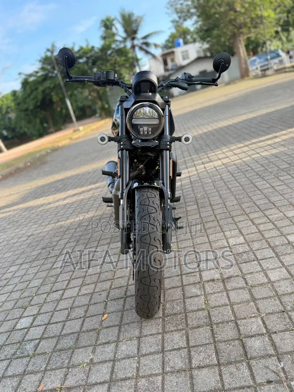 New Harley-Davidson 2026 Blue