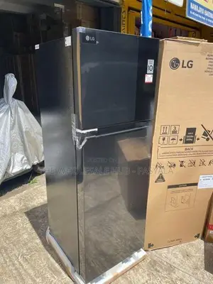 LG GL250M 238L Smart Inverter