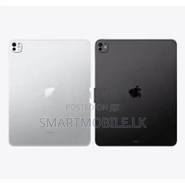 PRO M4 13" CELLULAR 256GB