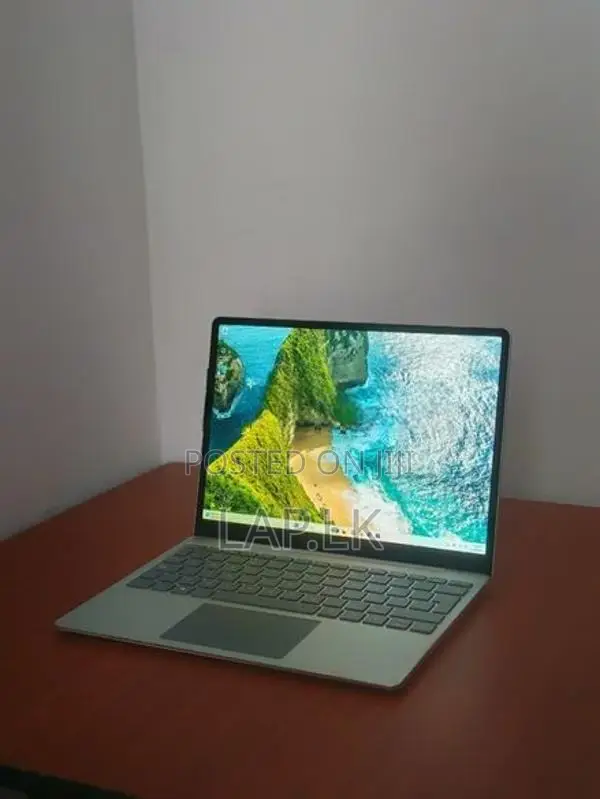 Microsoft Surface Go 1943 Core i5 1035G1 10th GEN 16GB RAM 256GB SSD