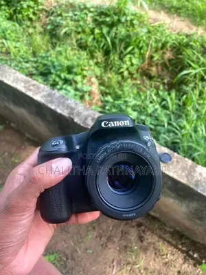 Canon EOS 80D + 50mm f/1.8 STM