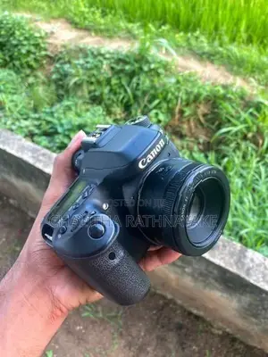 Canon EOS 80D + 50mm f/1.8 STM