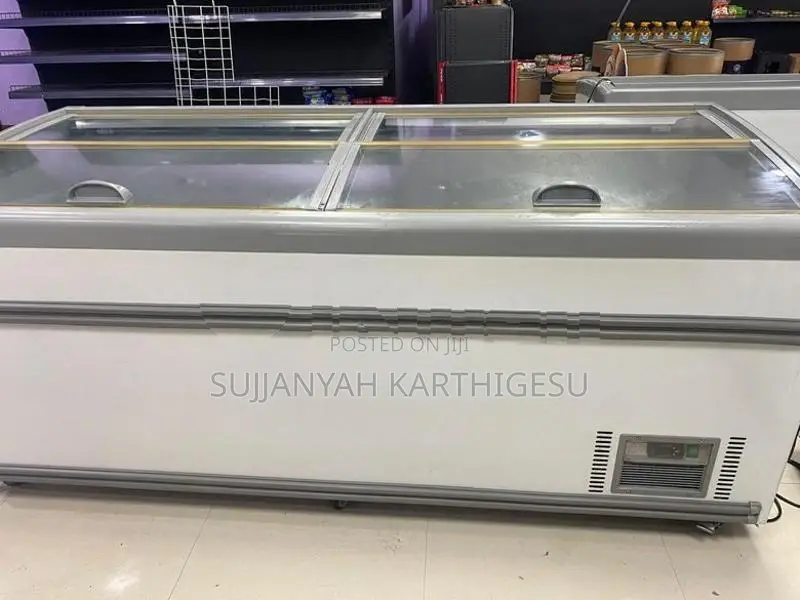 Soala Island Freezer WD-2100