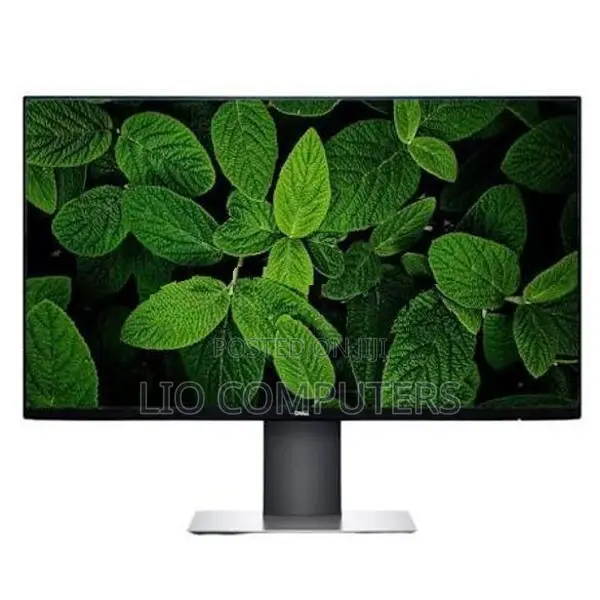 24" Inch DELL Frameless IPS Monitor (Full HD)