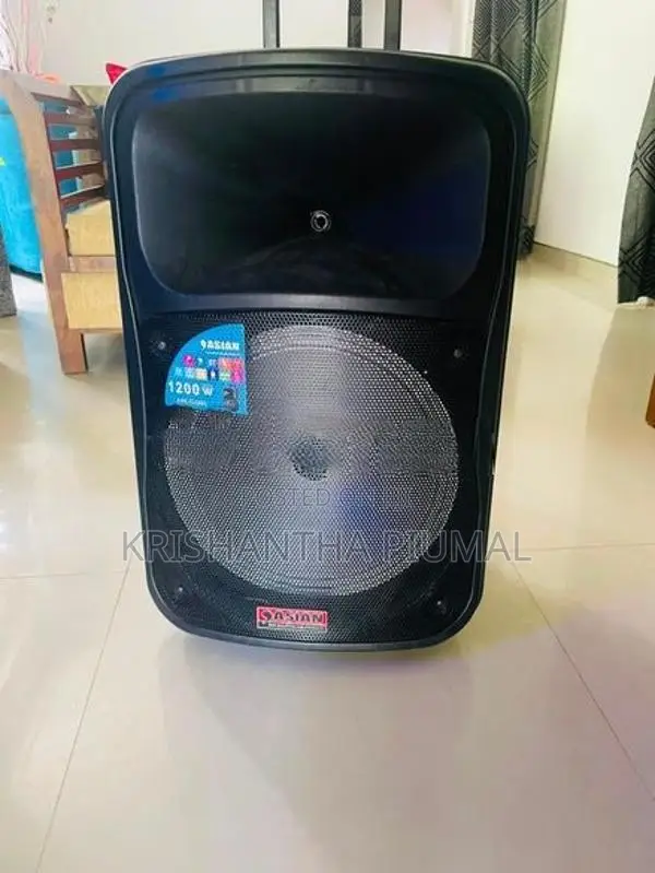 ASIAN 1200W HIGH POWER TROLLEY SPEAKER