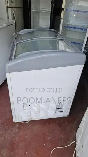 Ice Cream Deep Freezer
