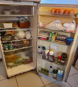 Toshiba Fridge