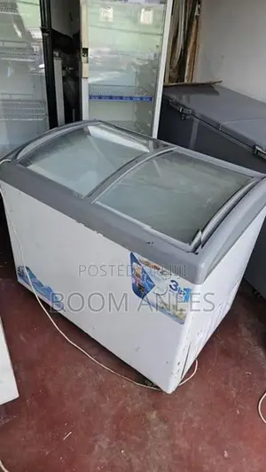 Ice Cream Deep Freezer