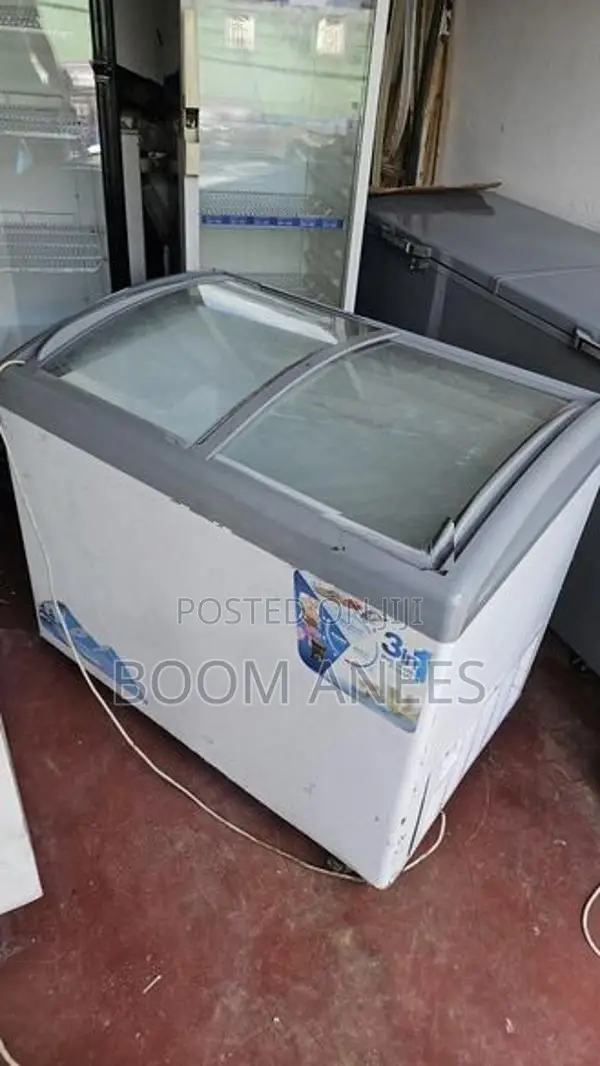 Ice Cream Deep Freezer