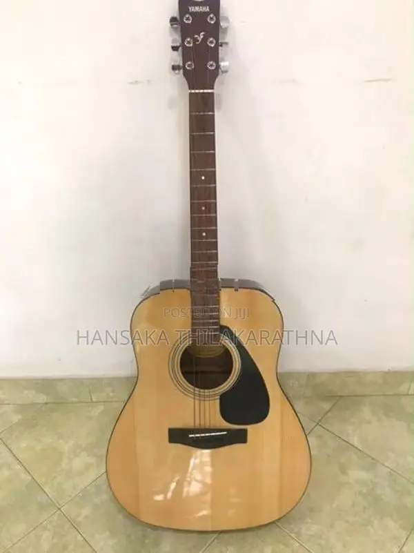 F310 Guitar