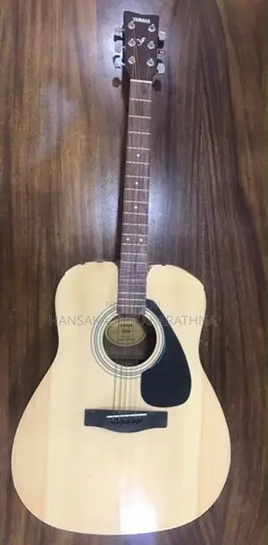 F310 Guitar