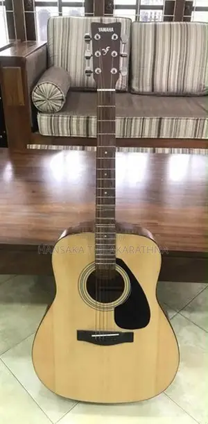 F310 Guitar
