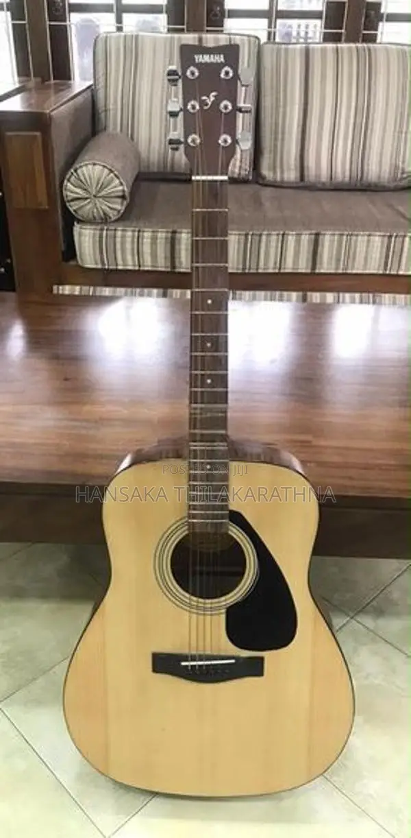 F310 Guitar