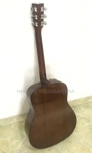 F310 Guitar