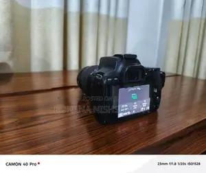 Canon 250D